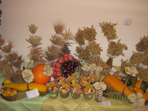 Юннат - 2009