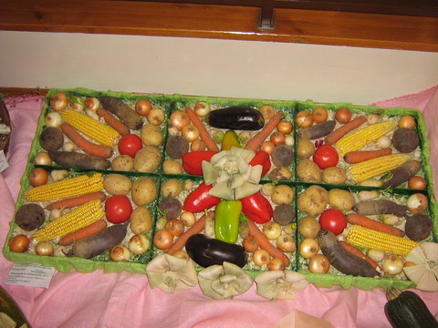 Юннат - 2009
