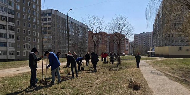 Сделаем наш город зеленым