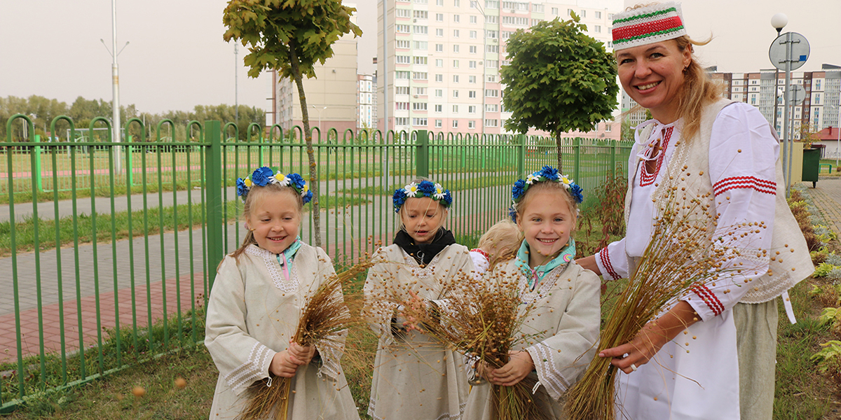 Природный символ Беларуси — цветок льна
